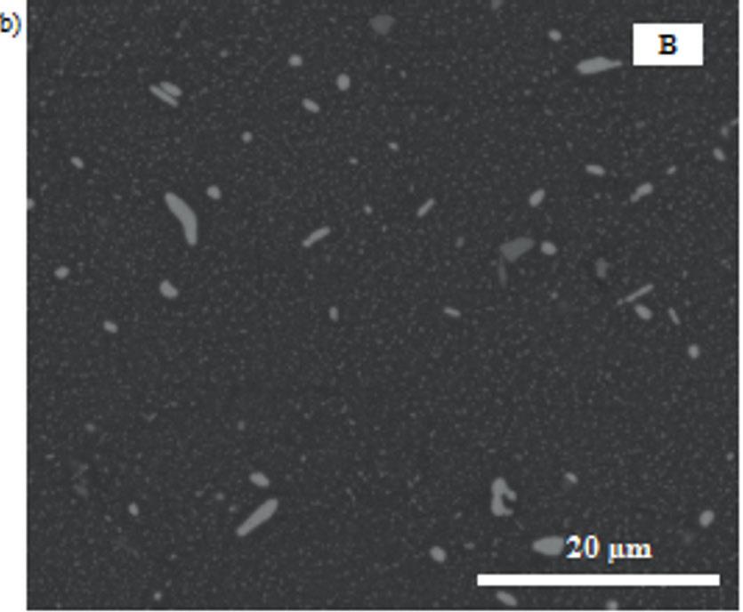 Surface of the selected Al-Zn alloys: a) before modification, b) after N + ions modification using ammonia ( :Ar = 1:1), and after a SiCN:H layer deposition; SEM PODZIĘKOWANIE Pracę wykonano w ramach