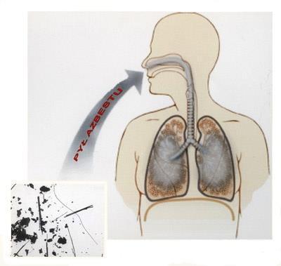 Rysunek 1 Droga wnikania włókien azbestowych do układu oddechowego człowieka Pomimo tego, że azbest był wykorzystywany od czasów starożytnych, to jego szkodliwy wpływ na organizm człowieka rozpoznano