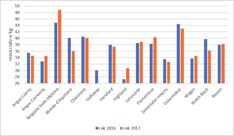 W tabeli 19 wykazano różnice w średnich masach ciał buhajków mieszańcowych do 48 godzin, między rokiem 2016 a 2017.