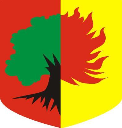 DOLNOŚLĄSKIE Prezydent Miasta Wałbrzych