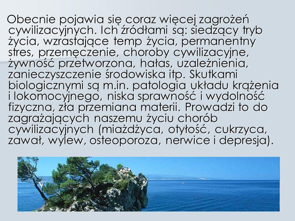 8. Choroby cywilizacyjne Świat, w którym żyjemy, nieustannie się zmienia, a lista wyzwań cywilizacyjnych i społecznych jest coraz dłuższa.