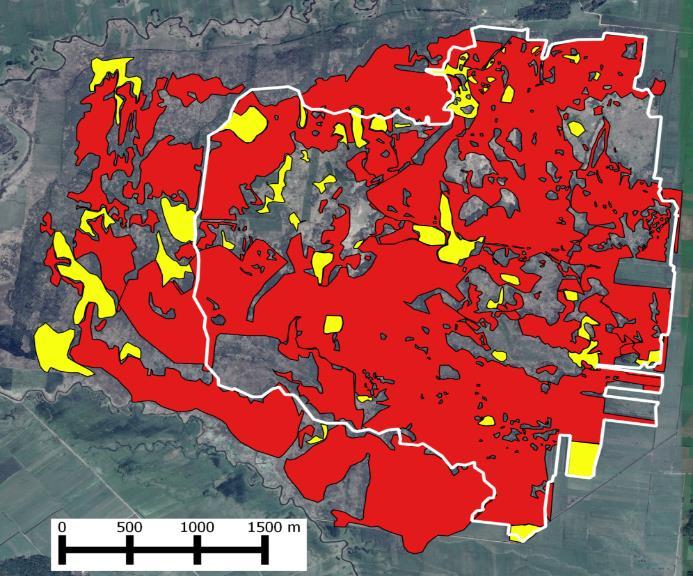 W miejscach silnie osuszonych, gdzie wypalenie wierzchniej warstwy gleby nie doprowadziło do wyraźnego wzrostu jej uwilgotnienia, doszło do rozwoju zbiorowisk roślin nitrofilnych z dominacją pokrzywy