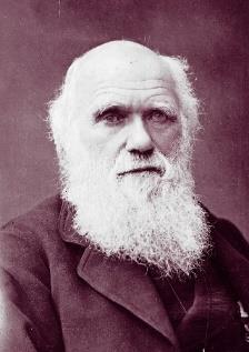 Znani naukowcy Karol Darwin, Albert Einstein