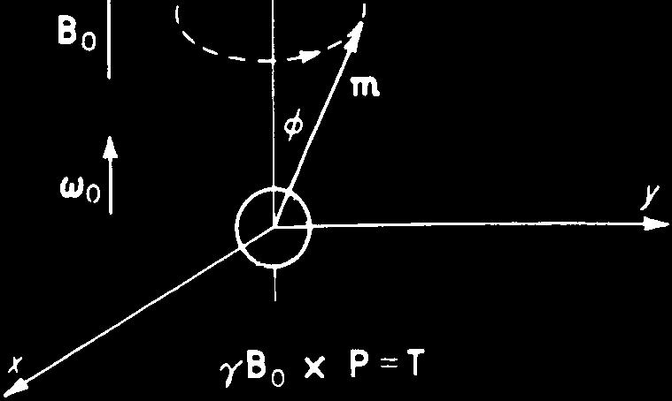 Po ustąpieniu zakłócenia powrót do położenia zgodnego ze zwrotem H 0 dokonuje się ruchem precesyjnym zjawisko