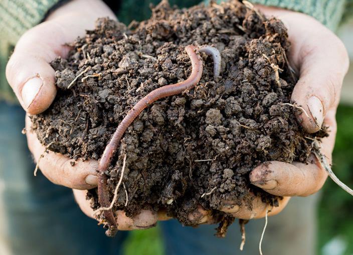 Ograniczenie tempa rozkładu materii organicznej i zmniejszenie zasobów próchnicy Wilgotność gleby jest jednym z najistotniejszych czynników mający wpływ na zwiększenie intensywności humifikacji.