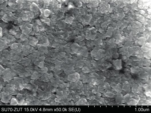 Rys. 2. Mikrostruktura powłoki z fazy S (S_9); SEM Fig. 2. Microstructure of S phase coating (S_9); SEM szych kątów 2θ wraz ze wzrostem liczby rozpylanych źródeł (rys. 1).