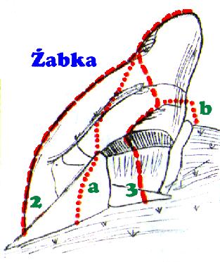 4/4+, RP - Piotr Drobot (1994).