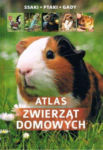 Wydawnictwo SBM wychodząc naprzeciw ciągle rozwijającym się zainteresowaniem chowem i hodowlą konkretnych zwierząt domowych, towarzyszących (nie chodzi o tzw.