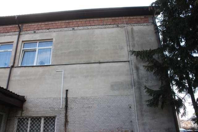 Ryc. 47. Gniazdo kawki w szczelinie elewacji.