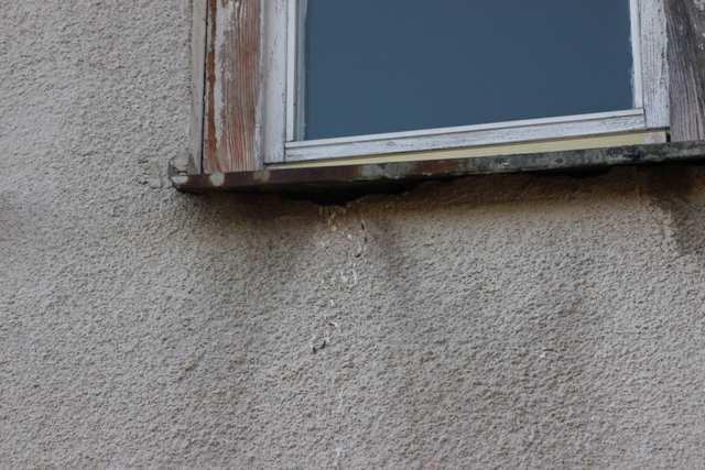 Ryc. 101. Gniazdo wróbla w szczelinie pod parapetem. Ryc.