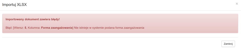 W przypadku wykrycia przez system błędów pojawi się okno z informacją, w którym miejscu w pliku wprowadzono niepoprawne dane.