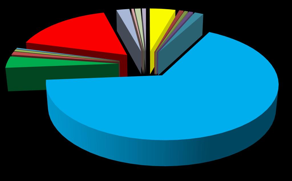 Miejsce zamieszkania pacjentów Oddziały NFZ 0,35% 0,58% 0,98% 0,06% Mazowieckie; 3,52% Śląskie;