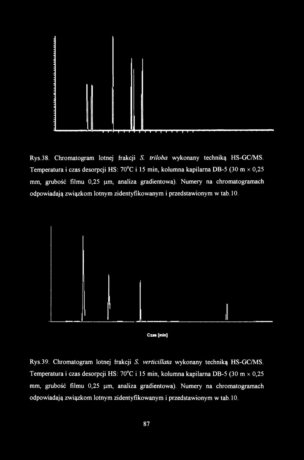 Rys.38. Chromatogram lotnej frakcji S. triloba wykonany techniką HS-GC/MS. Temperatura i czas desorpcji HS: 70 C i 15 min, kolumna kapilarna DB-5 (30 m x 0,25 mm, grubość filmu 0,25 j.