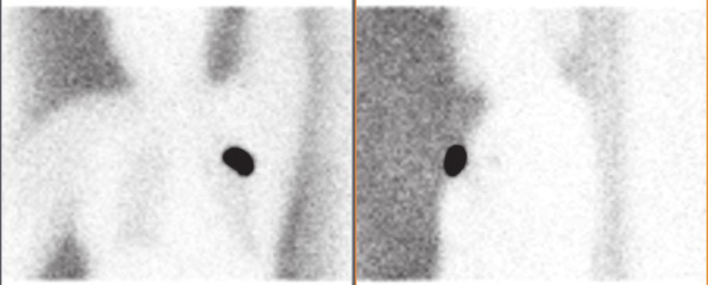 radiologia \ radiology artykuł naukowy \ scientific paper Rys.