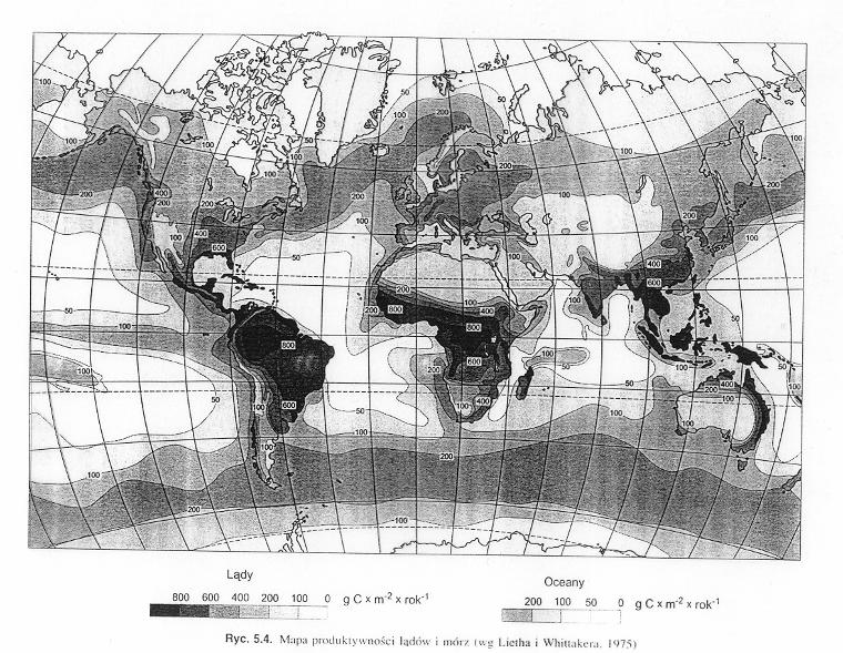 Czynniki limitujące produktywność ekosystemów Ekosystemy lądowe: temperatura dostępność wody światło Ekosystemy wodne (strefa eufotyczna): dostępność biogenów (P, Fe, inne) 34/38 Mapa produktywności