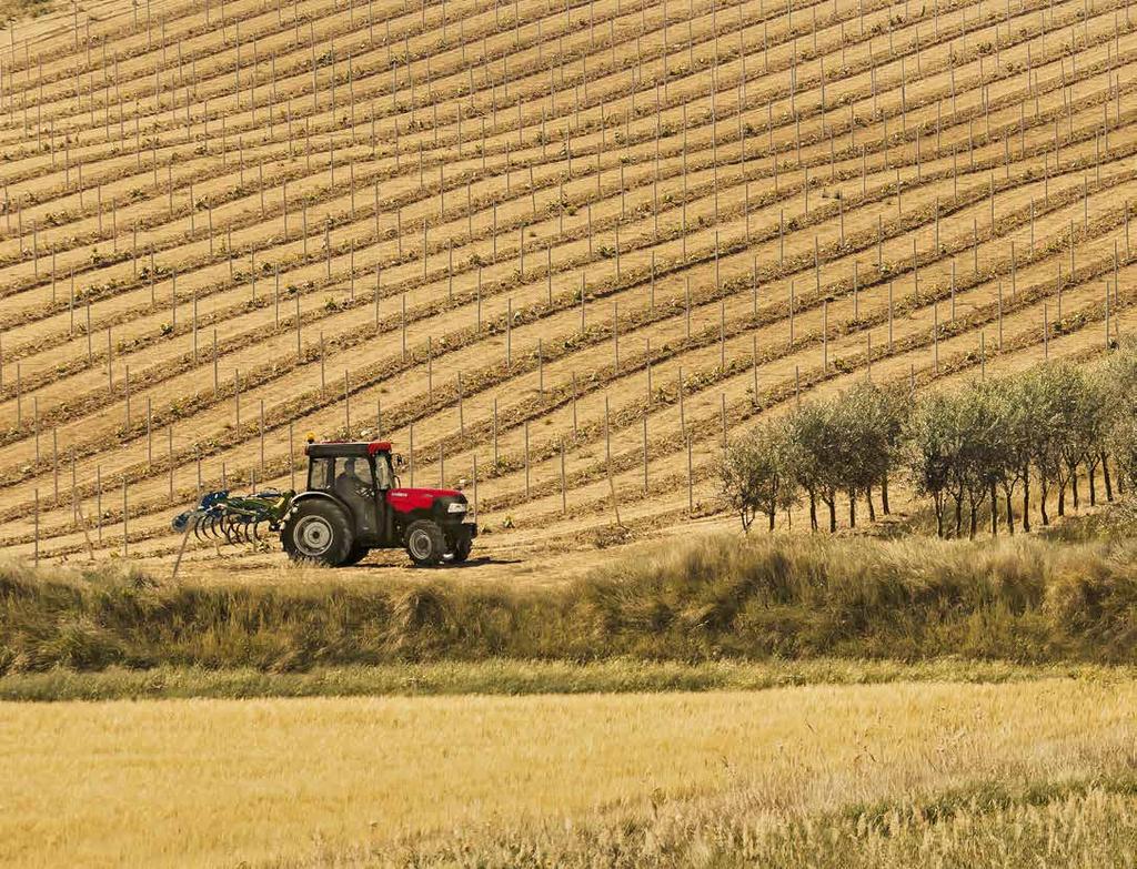 2 CASE IH Każdy znajdzie