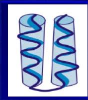 α-helisy β-kartki Syntetaza stilbenowa Vitis vinifera.