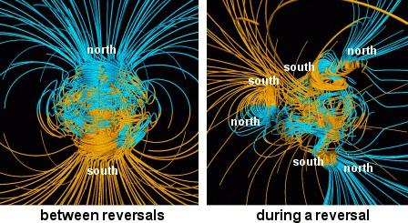 Scientific diversity: GEO Wikipedia: Geomagnetic reversal Earth outer core: Liquid (molten iron)
