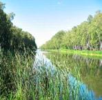 fragment Pętli dookoła Konina SZLAK łącznikowy Konin Rudzica Grąblin Trasa: Konin Rudzica Grąblin 12,7 km 0:50 h Zarządca szlaku: Polskie Towarzystwo Turystyczno-Krajoznawcze O/Konin ul.