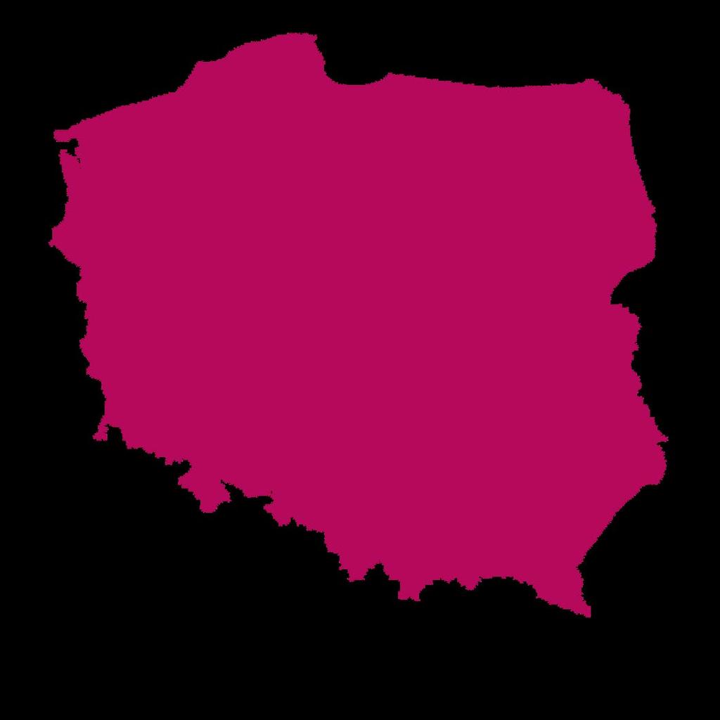 zagraniczny 