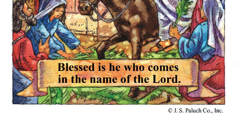 He comes as our friend, brother, but also as our king. Let us therefore joyfully follow Christ and walk with him. We accompany Jesus, but in fact, He accompanies us and carries us on his shoulders.