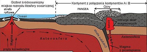 Skały plutoniczne, powstałe w wyniku