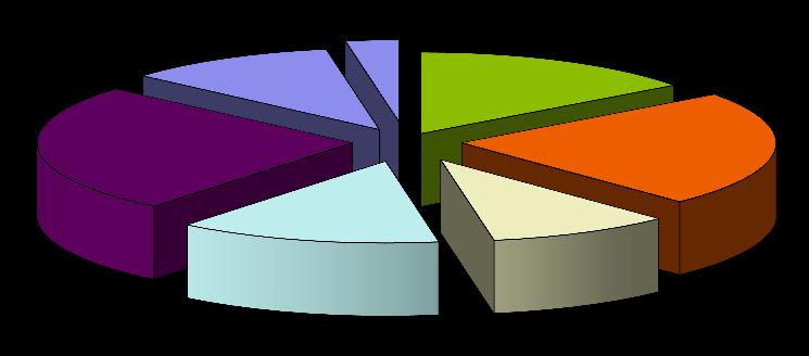 13% 9% 26-3 lat - 8 osób 31-35 lat - 2