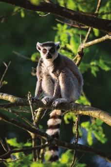 Wodnym ZOO Safari i największego w Polsce