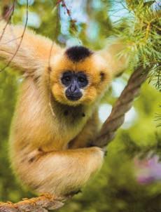 Jesteśmy członkiem Rady Dyrektorów Polskich Ogrodów Zoologicznych i Akwariów, a nasze