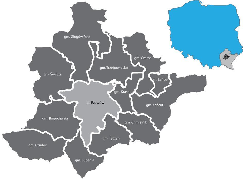 Rzeszowski Obszar Funkcjonalny (ROF) tworzą gminy i miasta: Gmina Boguchwała, Gmina Chmielnik, Gmina Czarna, Gmina Czudec, Gmina Głogów