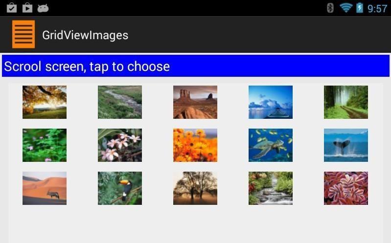 Example 6: Using The GridView Widget to Show Images Results generated by the app (Example6) running on differentdevices Image displayed on a Nexus7