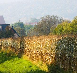 placów zabaw min.