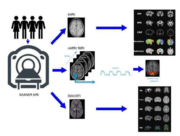Dane Najdynamiczniej w tej chwili rozwijającą się techniką obrazową jest technika wykorzystująca zjawisko rezonansu magnetycznego MRI(Magnetic Resonance Imaging).