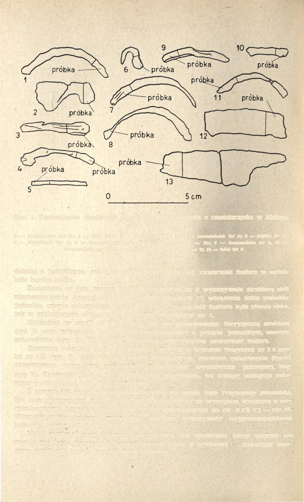 460 JERZY PIASKOWSKI Ryc. 1. Zestawienie zbadanych przedmiotów żelaznych z cmentarzyska w Kietrzu, pow.