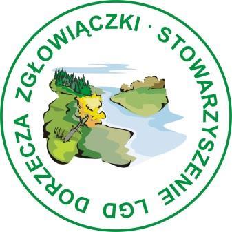 Załącznik nr 7 do ogłoszenia o naborze wniosków Konkurs LGD nr 3/2018/EFS/PG załącznik nr 1 do uchwały nr 1 Zarządu Stowarzyszenia Lokalna Grupa Działania Dorzecza Zgłowiączki z dnia 20.08.2018r.