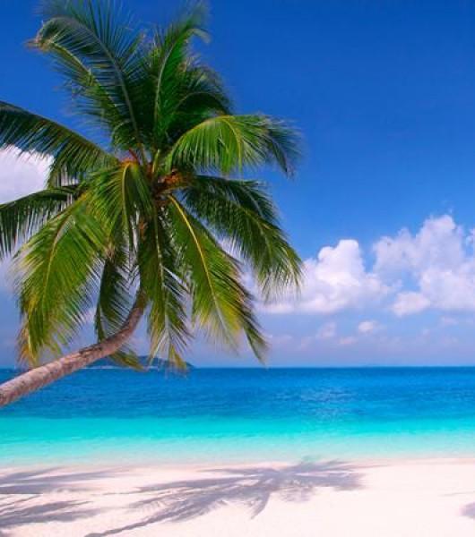 POGODA Wyspa Zanzibar leży w strefie podrównikowej charakteryzującej się klimatem gorącym i bardzo wilgotnym.