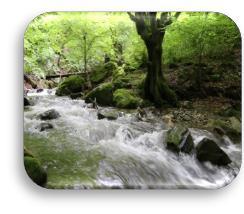 5 WHITE WATER WAMPU RIVER RAFTING Po śniadaniu jedziemy mini-busem nad rzekę Wampu, skąd rozpoczynamy swoją raftingową przygodę.