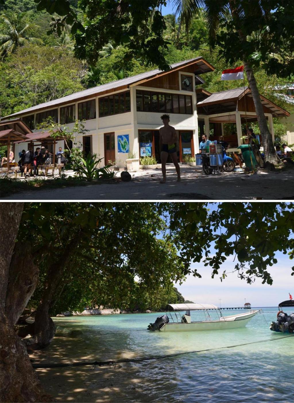 Na wyspie Pulau Weh będziemy zakwaterowani w ładnych, przestronnych, zadbanych bungalowach z w pełni wyposażoną łazienką, aneksem kuchennym oraz pokojach sypialnych dwu-, trzy- osobowych z pięknymi