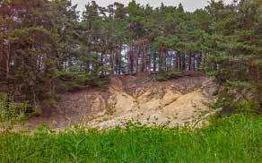 GEOTOPY - wydmy Jak słyszycie słowo wydma, kojarzy się ono z pewnością z piaskiem na morskiej plaży lub z krajobrazem pustynnym. Czy wiecie jednak, że piaskowe wydmy są także u nas?