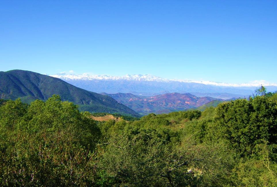 Przejazd autokarem do Santiago przez Cordillera de la Costa - skrajnie zachodnim,