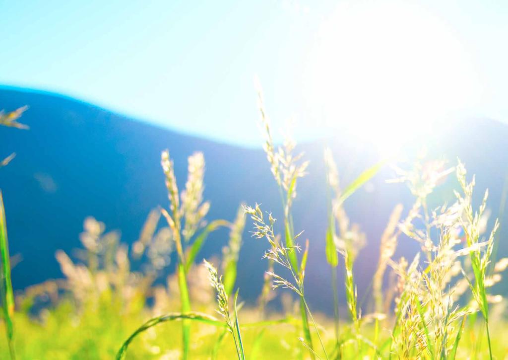 All Natural Core jest technologią, która: Gwarantuje integralność i naturalność składników.