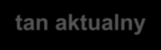 Stan aktualny Obecnie w obrocie portowym istnieje wiele systemów dziedzinowych, które komunikują się między sobą w pewnych obszarach: o Przeładunek towaru (systemy linii żeglugowych, systemy