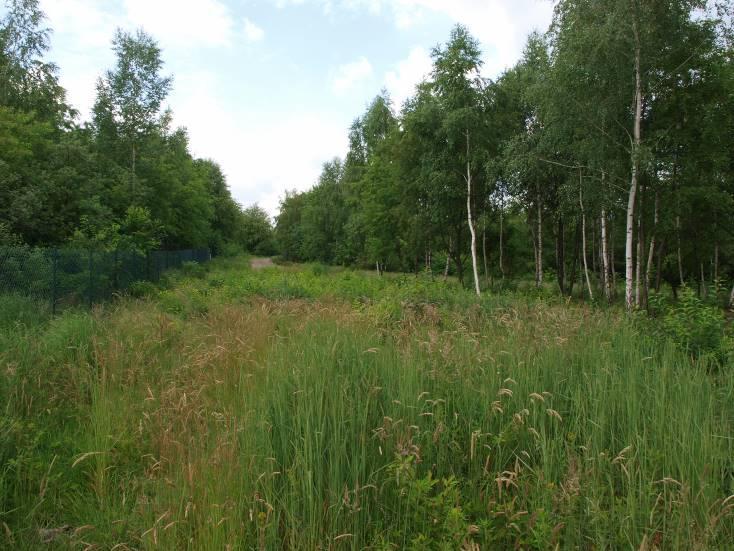 2 Teren nr 1, część centralna, rejon planowanej