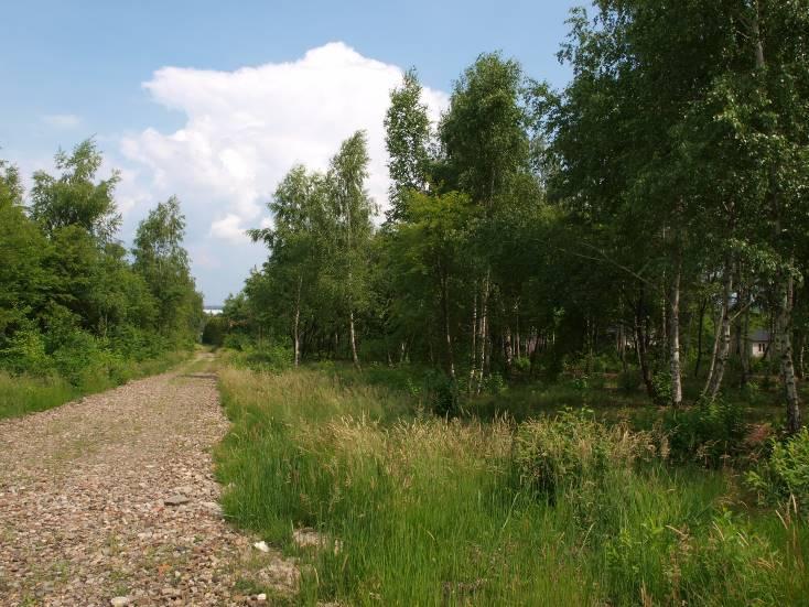 4 Rów przepływający przez teren nr 1, tu poza