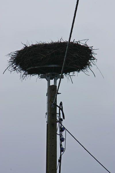 Donimierzu (fot.