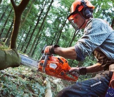 elektromechanik pojazdów samochodowych, cukiernik, piekarz, stolarz, mechanik-monter maszyn i urządzeń,