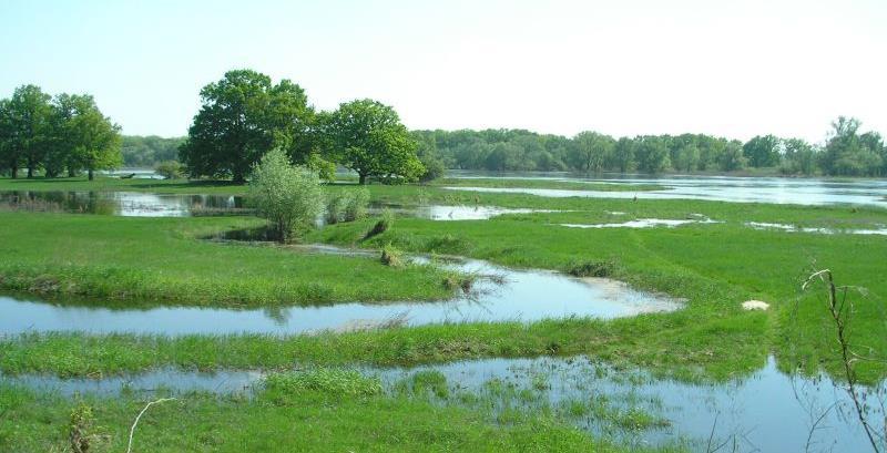 Za European Topic Centre on Biological Diversity : http://art17.eionet.europa.