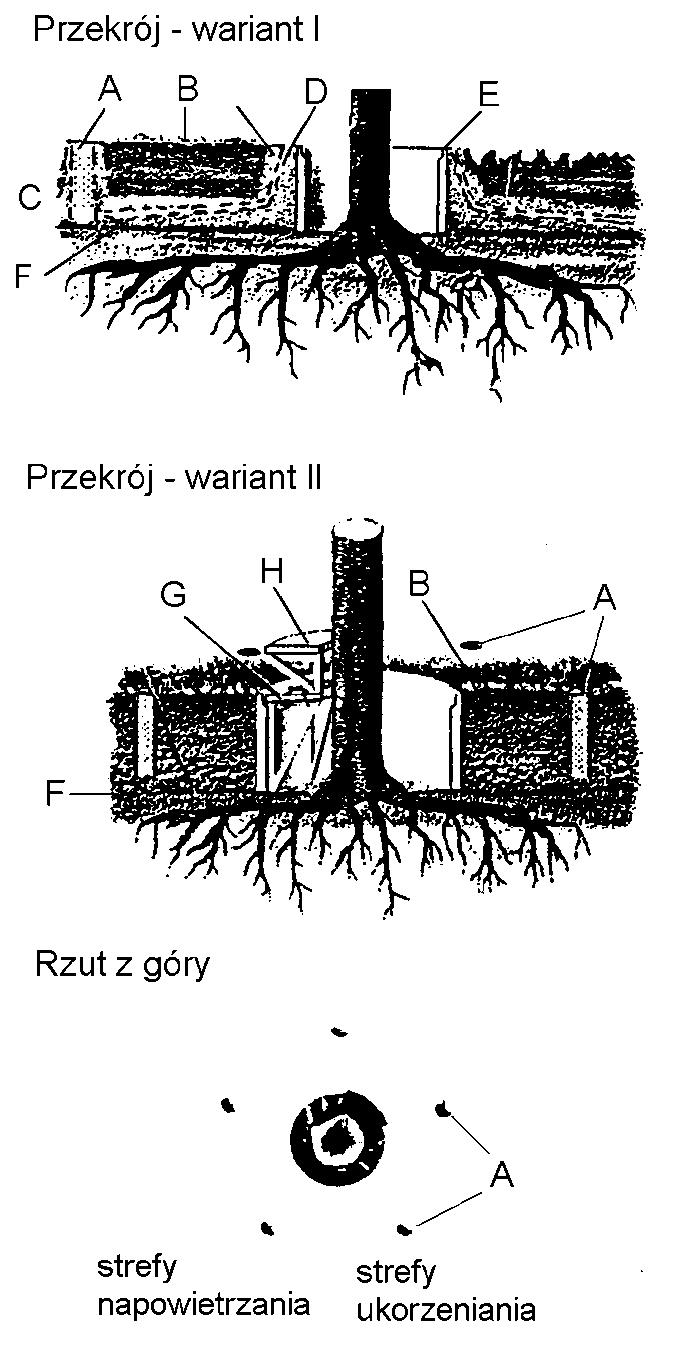 5. Studzienka zabezpieczająca pień drzewa przy podwyższeniu terenu powyżej 0,5 m (wg [10]) Objaśnienia: A