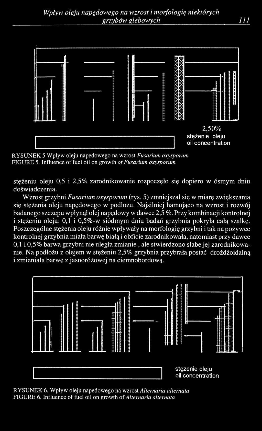 5) zmniejszał się w miarę zwiększania się stężenia oleju napędowego w podłożu. Najsilniej hamująco na wzrost i rozwój badanego szczepu wpłynął olej napędowy w dawce 2,5 %.