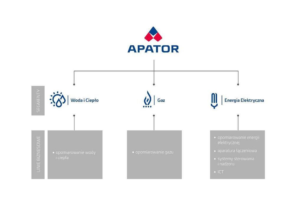 Spółki Grupy Apator koncentrują swoją działalność w obrębie przemysłu elektromaszynowego, w następujących segmentach oraz liniach biznesowych: Do Grupy należą następujące jednostki zależne